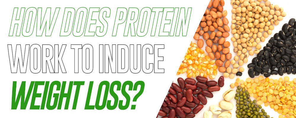 How Does Protein Work to Induce Weight Loss?